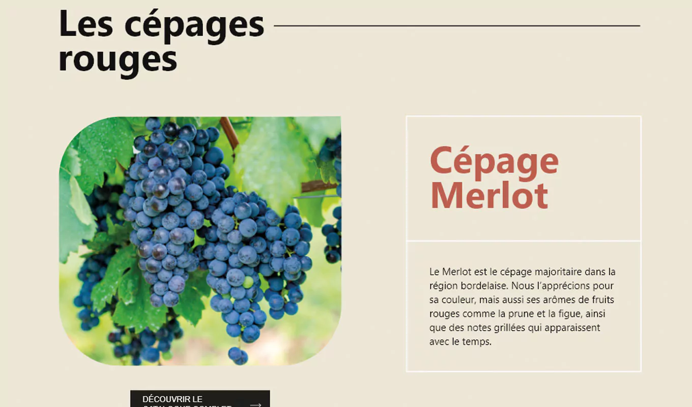 design des cépages utilisées par Univitis